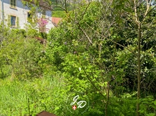 Authentique maison de village – 75 m² à réinventer – Environnement calme et recherché à Culoz