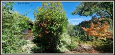 Single-story house for sale, 5 rooms, 4 bedrooms, approximately 135 m², BAGE LA VILLE (01), 867 m² enclosed plot, double garage