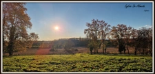 Propriété à vendre entre BIZIAT et PONT DE VEYLE (01) 16,5 Ha, vue, maison 145 m², ferme à rénover 170 m², pigeonnier, hangar, équestre