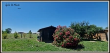 House for sale, single storey 106 m², 5 rooms ARBIGNY (01) PONT DE VAUX, 4 bedrooms, enclosed plot of 2000m²