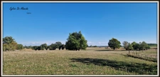 Longère property, 165 m², for sale, 6 rooms, Bage Dommartin (01), 4000 m² plot, outbuildings, potential, character