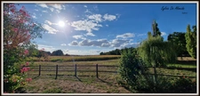 Longère property for sale, 313 m², 7 rooms, SAINT CYR SUR MENTHON (01). Outbuildings 550 m², swimming pool, 6.84 hectares