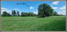Terrain à vendre de 1 285,00 m² BAGE LA VILLE DOMMARTIN (01)