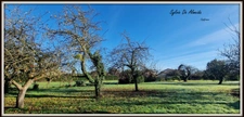 Terrain constructible, 1600 m²,  hors lotissement, Feillens proche Mâcon