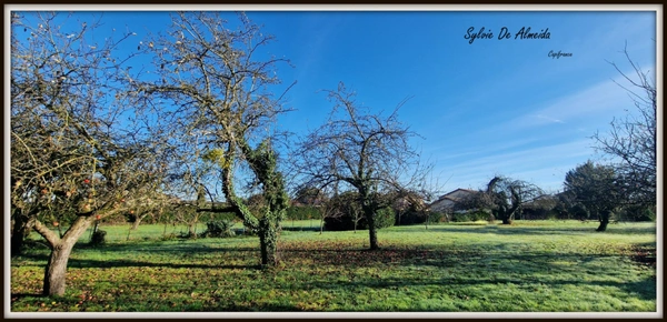 Terrain constructible, 1600 m²,  hors lotissement, Feillens proche Mâcon