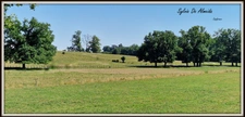House for sale, single storey 106 m², 5 rooms ARBIGNY (01) PONT DE VAUX, 4 bedrooms, enclosed plot of 2000m²