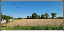 Maison à vendre 140 m², 5 pièces, BAGE DOMMARTIN (01)? terrain 2200 m², calme