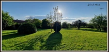 House for sale, 167m², 7 rooms, FEILLENS (01), 1350m² plot, 5 bedrooms, garage, not in a housing estate