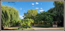 Longère property for sale, 313 m², 7 rooms, SAINT CYR SUR MENTHON (01). Outbuildings 550 m², swimming pool, 6.84 hectares