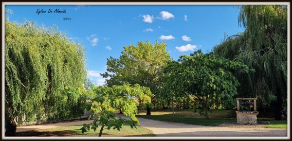 Propriete longère à vendre 313 m² 7 pièces SAINT CYR SUR MENTHON (01)Dépendances 550 m², piscine, 6,84 hectares