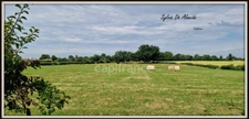 Parcelle de Terrain à bâtir, à vendre, hors lotissement de 2 493,00 m² BEREZIAT (01) plat, calme, campagne
