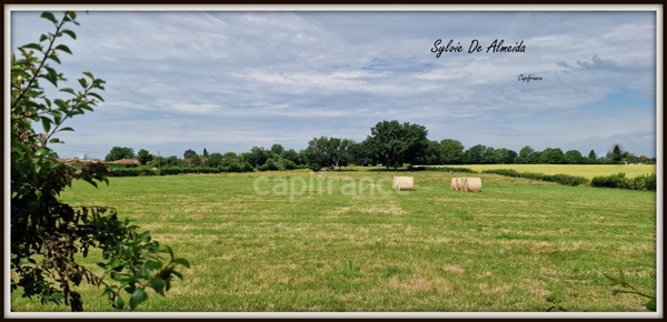 Parcelle de Terrain à bâtir, à vendre, hors lotissement de 2 493,00 m² BEREZIAT (01) plat, calme, campagne