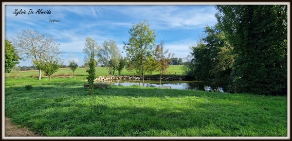 Propriété à vendre entre BIZIAT et PONT DE VEYLE (01) 16,5 Ha, vue, maison 145 m², ferme à rénover 170 m², pigeonnier, hangar, équestre