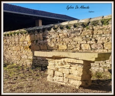 House for sale, 8 rooms, REYSSOUZE (01) near PONT DE VAUX, 180 m², outbuilding 150 m², carport 68 m², enclosed plot 1690 m²