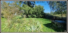 Maison ferme à vendre 5 pièces BAGE LA VILLE (01) terrain 6000 m²