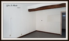 Maison de village 165 m² avec locaux commerciaux à vendre BAGE LE CHATEL (01) cour et appartement