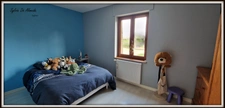 Longère property for sale, 313 m², 7 rooms, SAINT CYR SUR MENTHON (01). Outbuildings 550 m², swimming pool, 6.84 hectares