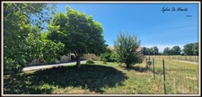 Single-story house for sale, 5 rooms, 4 bedrooms, approximately 135 m², BAGE LA VILLE (01), 867 m² enclosed plot, double garage
