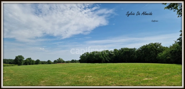 Terrain à vendre, à bâtir, hors lotissement de 3128,00 m² BEREZIAT (01)calme, plat, campagne, Montrevel en Bresse