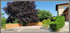 Propriete à vendre 8 pièces 285 m² REPLONGES (01), Piscine, 4 suites, double garage, terrain 2136 m²