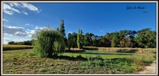 Longère property for sale, 313 m², 7 rooms, SAINT CYR SUR MENTHON (01). Outbuildings 550 m², swimming pool, 6.84 hectares