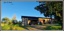 Propriété à vendre PONT DE VEYLE (01) 16,5 Ha, vue, maison 145 m², ferme à rénover 170 m², pigeonnier, hangar, équestre