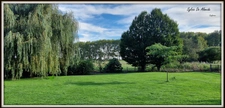 Longère property for sale, 313 m², 7 rooms, SAINT CYR SUR MENTHON (01). Outbuildings 550 m², swimming pool, 6.84 hectares