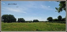 Parcelle de Terrain à bâtir, à vendre, hors lotissement de 2 493,00 m² BEREZIAT (01) plat, calme, campagne