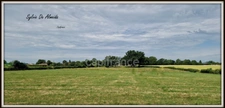 Terrain à vendre, à bâtir, hors lotissement de 3128,00 m² BEREZIAT (01)calme, plat, campagne, Montrevel en Bresse