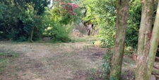 House for sale 5 rooms NALLIERS (85)