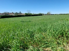 Land for sale of 1,700.00 m² SAINT MICHEL LE CLOUCQ (85)