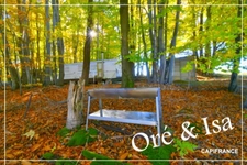 Etang et Terrain à vendre de 49 655,00 m² SAINT DESIRE (03)