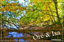 Land for sale measuring 49,655.00 m² in SAINT DESIRE (03)