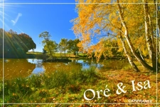 Etang et Terrain à vendre de 49 655,00 m² SAINT DESIRE (03)