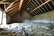 Charmante maison berrichonne avec grand terrain REIGNY (18)