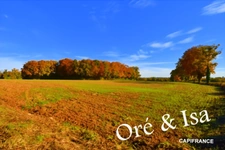 Land for sale measuring 49,655.00 m² in SAINT DESIRE (03)