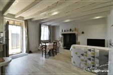 Charmante maison berrichonne avec grand terrain REIGNY (18)