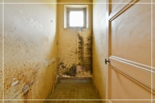 Maison à vendre 4 pièces LIGNEROLLES (36)