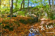 Etang et Terrain à vendre de 49 655,00 m² SAINT DESIRE (03)