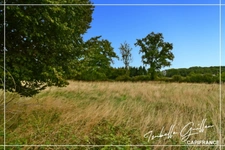 Dpt Cher (18), à vendre proche de CHATEAUMEILLANT maison P5 de 154 m² - Terrain de 1 hectare