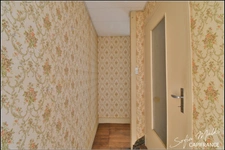 Maison à vendre 8 pièces +  grange PREVERANGES (18)