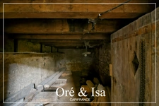 Dpt Cher (18), Loye-Sur-Arnon, Maison 112 m² – Grand terrain, dépendance de 100 m² et garage avec fosse