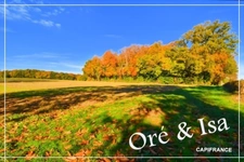 Land for sale measuring 49,655.00 m² in SAINT DESIRE (03)