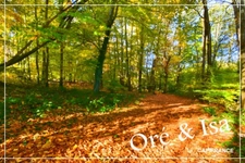 Land for sale measuring 49,655.00 m² in SAINT DESIRE (03)