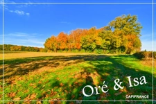 Land for sale measuring 49,655.00 m² in SAINT DESIRE (03)