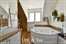 Charming renovated house with modern amenities, 4 rooms CHATEAUMEILLANT (18)
