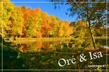 Etang et Terrain à vendre de 49 655,00 m² SAINT DESIRE (03)