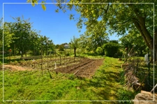 Dpt Cher (18), Loye-Sur-Arnon, Maison 112 m² – Grand terrain, dépendance de 100 m² et garage avec fosse