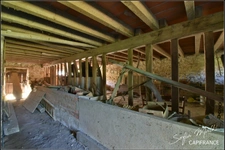 Cher department (18), for sale - house, barn and garden - 6 rooms, 110 m2
