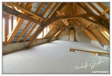 Dpt Cher (18), for sale CULAN house P6 of 227 m² - Land of 274.00 m² 